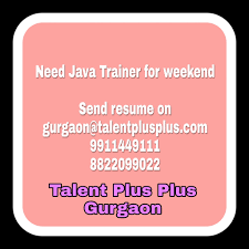Talent Plus Plus Talent Plus Plus photo 3